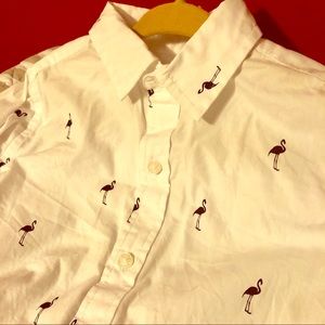Toddler button down w flamingoes